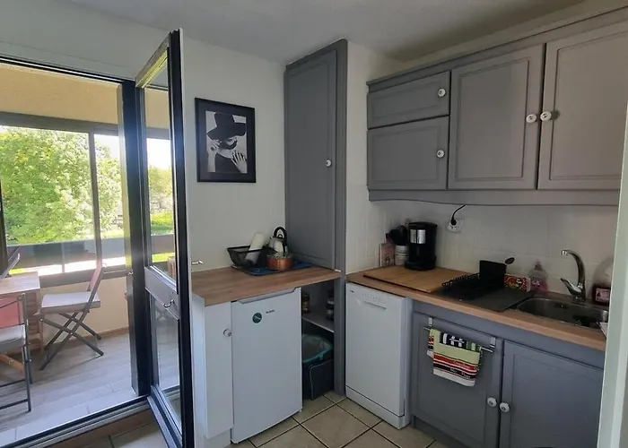 Cosy Avec Piscine Chauffee Ouverte Du 15-06 Au 15-09 Appartement